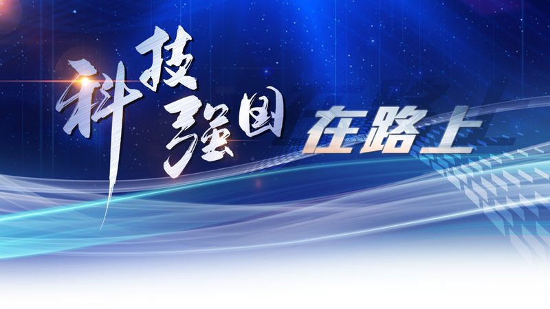 数据治理平台国产化：功能对比与选型要点
